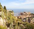 Jardin Exotique Monaco Charmant the Best Graphy Locations In Monaco