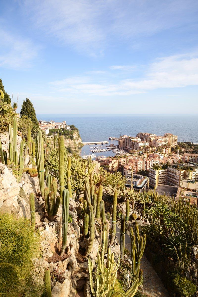 Jardin Exotique Monaco Charmant the Best Graphy Locations In Monaco