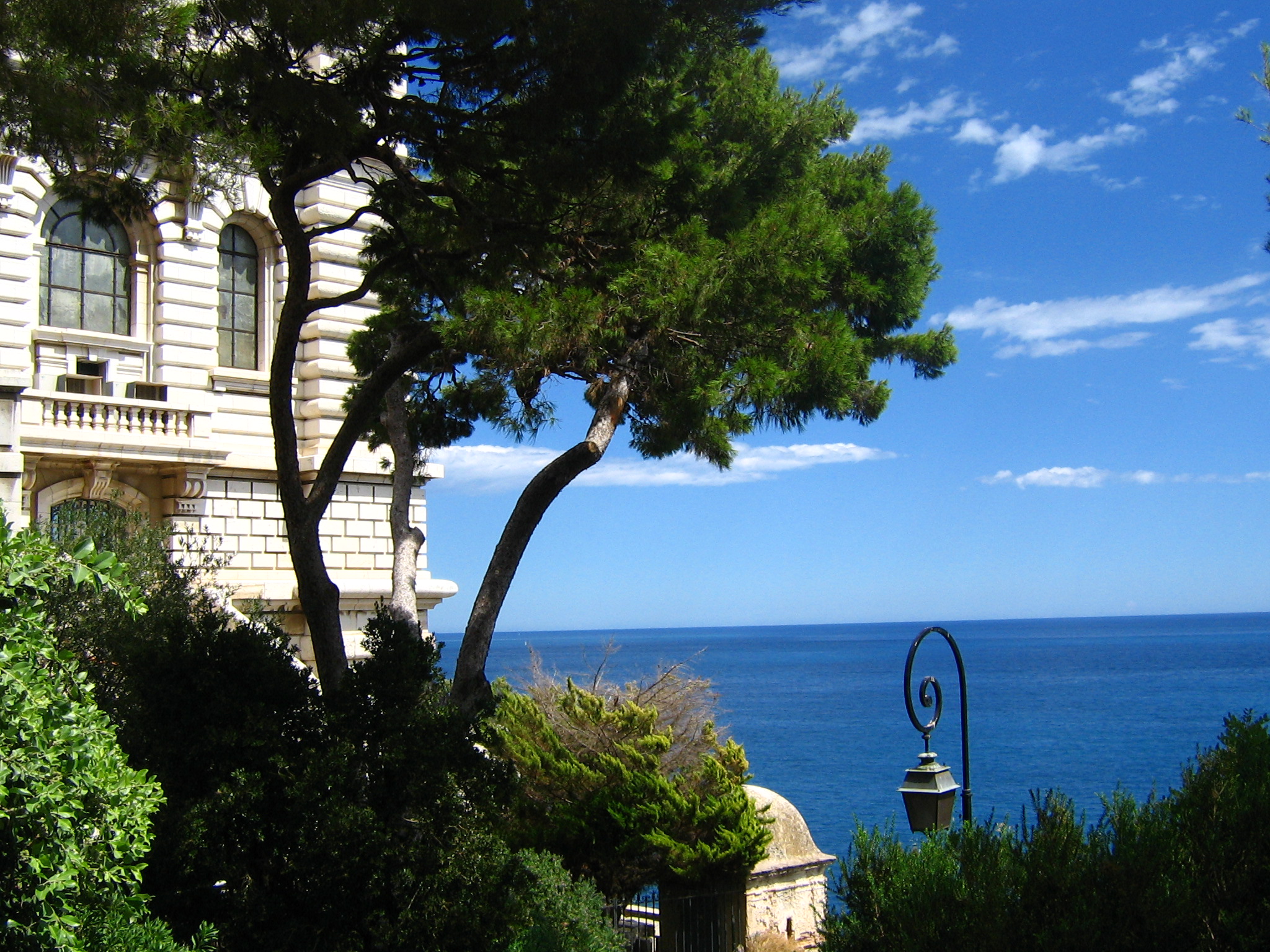 Jardin Exotique Monaco Élégant 100 [ Jardin Exotique ]