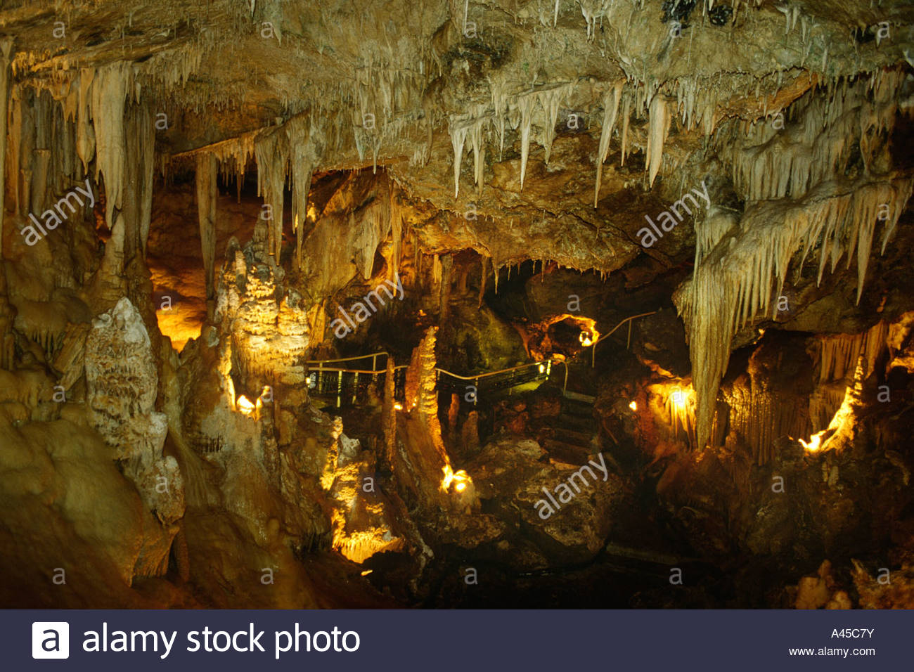 monaco grotte de l observatoire cave grotto inside the jardin exotique A45C7Y