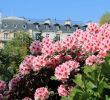 Jardin Exotique Monaco Inspirant Rhododendrons Avenue Foch