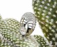 Jardin Exotique Monaco Inspirant Ring Jardin Exotique Si Monaco Bijoux Argent 925 Cactus