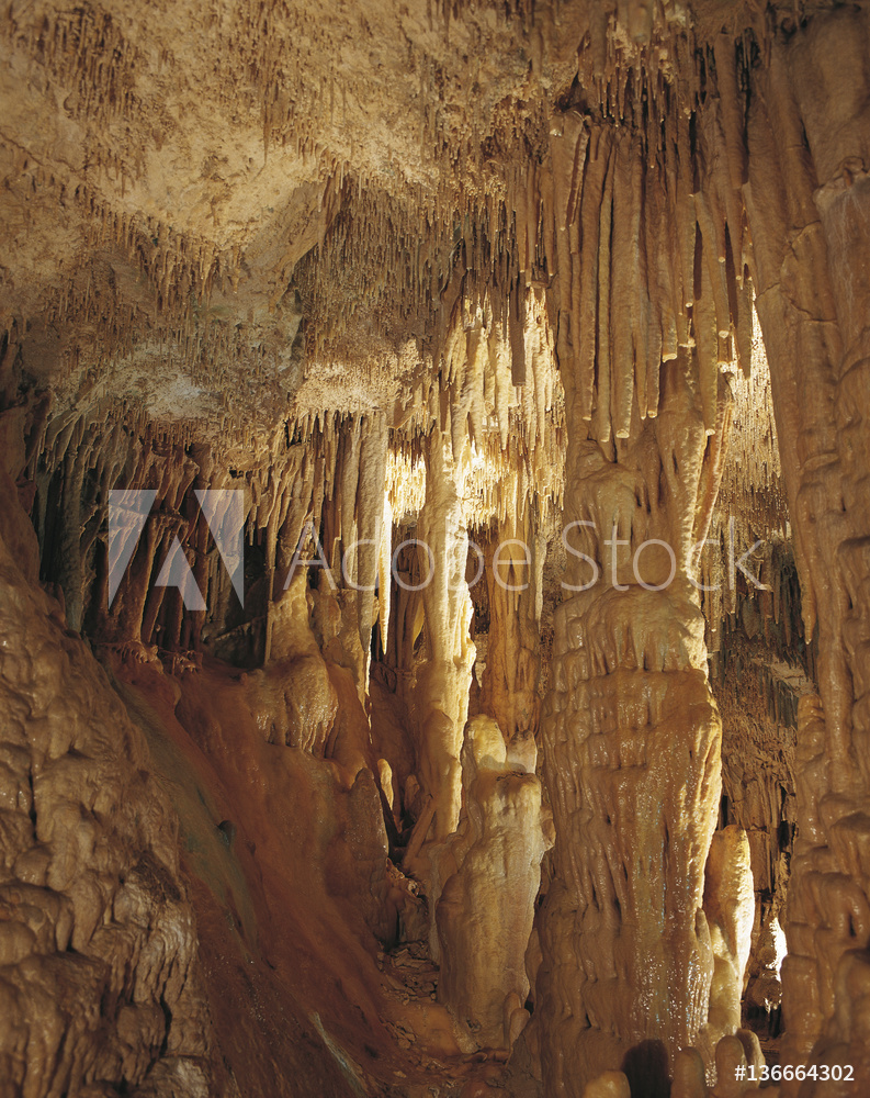 Jardin Exotique Monaco Luxe Fotografia Grotte De L Observatoire Jardin Exotique De