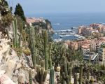 44 Élégant Jardin Exotique Monaco
