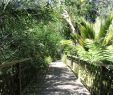 Jardin Exotique Roscoff Best Of Jardin Exotique Et Botanique De Roscoff 2020 All You Need