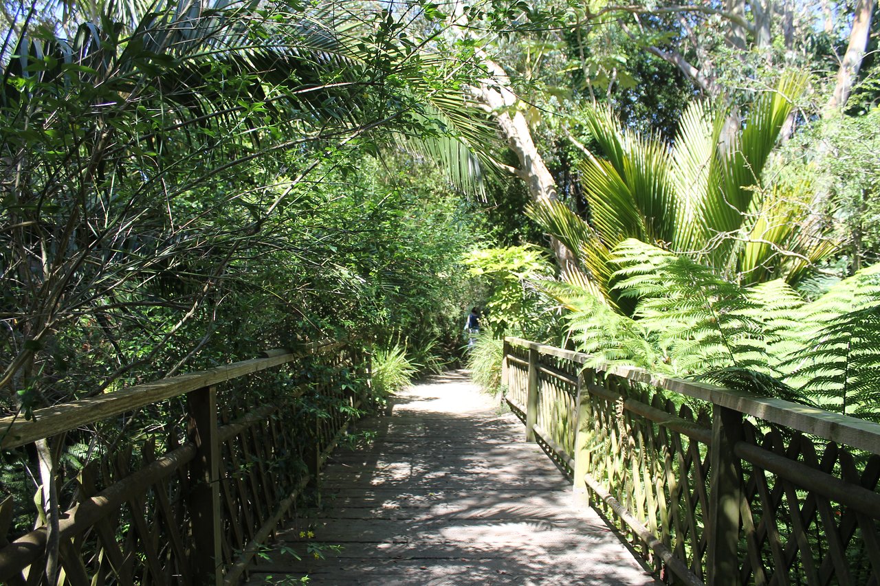 jardin exotique et botanique