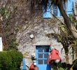 Jardin Exotique Roscoff Charmant Les 58 Meilleures Images De Bretagne