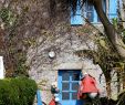 Jardin Exotique Roscoff Charmant Les 58 Meilleures Images De Bretagne