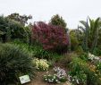 Jardin Exotique Roscoff Frais 100 [ Jardin Exotique ]