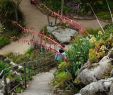 Jardin Exotique Roscoff Inspirant 100 [ Jardin Exotique ]