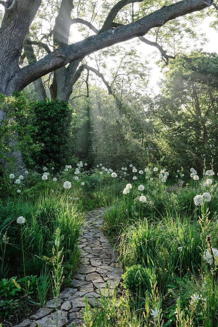 Jardin Exotique Roscoff Luxe Jardins D Exception