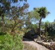 Jardin Exotique Roscoff Unique 100 [ Jardin Exotique ]