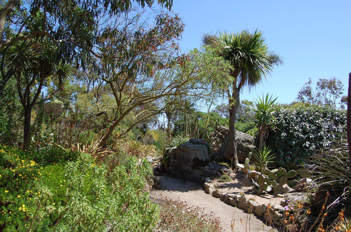 Jardin Exotique Roscoff Unique 100 [ Jardin Exotique ]