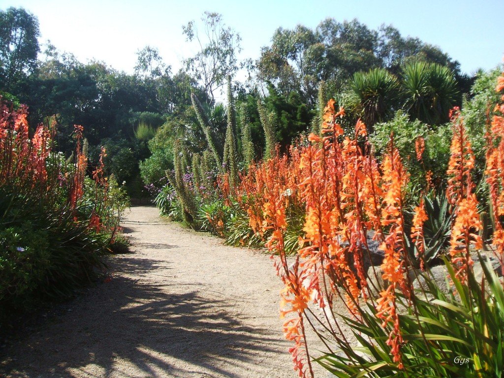 Jardin Exotique Roscoff Unique 100 [ Jardin Exotique ]