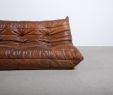 Jardin Facile Cognac Élégant Canapé togo Cuir Michel Ducaroy Ligne Roset Boutique Vintage