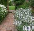 Jardin Fleur Best Of 11 Ideas to Steal for A Moonlight Garden