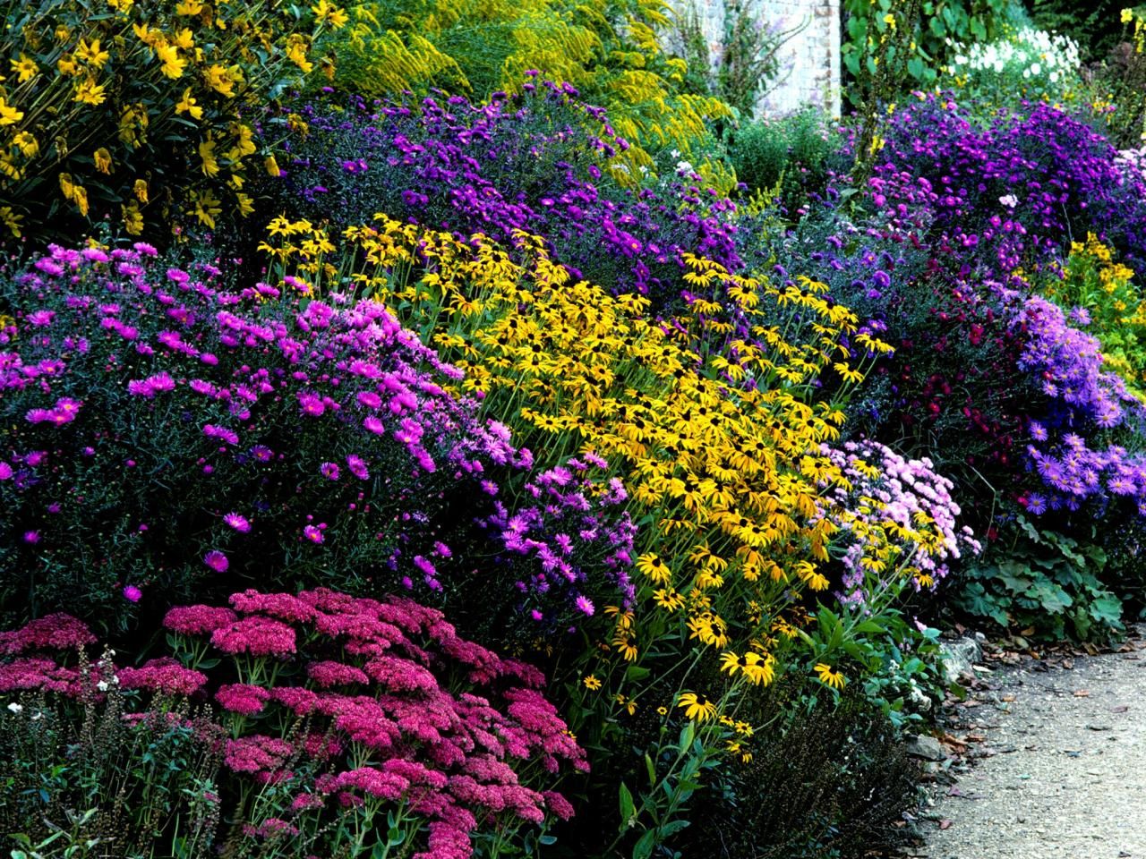 Jardin Fleur Charmant if You Have A Sunny Sheltered Border You Have the Makings