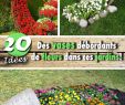 Jardin Fleur Frais Des Vases Débordants De Fleurs Dans Ces Jardins 13 Idées