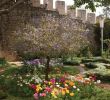 Jardin Fleur Frais S Tavira