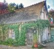 Jardin Fleur Unique B&b Le Chant Des Oiseaux Prices & Reviews Pressagny L