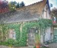 Jardin Fleur Unique B&b Le Chant Des Oiseaux Prices & Reviews Pressagny L