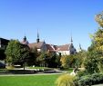 Jardin Fleur Unique Bulle 2020 Best Of Bulle Switzerland tourism Tripadvisor