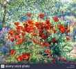 Jardin Fleuri Lyon 5 Charmant 330 3 Stock S & 330 3 Stock Alamy