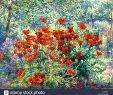 Jardin Fleuri Lyon 5 Charmant 330 3 Stock S & 330 3 Stock Alamy