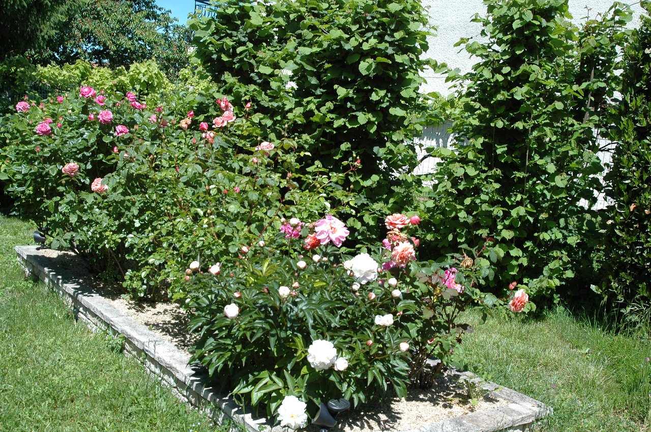 Jardin Fleuri Lyon 5 Frais Bed and Breakfast Le Jardin De Roses Dominique Loreau B&b