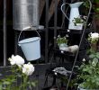 Jardin Fleuri Lyon 5 Inspirant 163 Best Garden & Balkony Images
