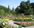 Jardin Fleuri Lyon 5 Nouveau Les 10 Plus Beaux Parcs Lyon