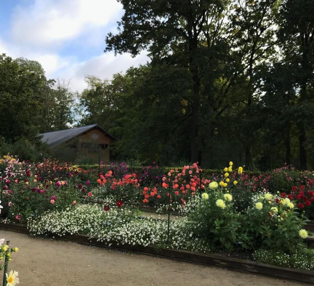 Jardin Imaginaire Charmant Daily 1