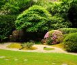 Jardin Jardinier Élégant Japanese Rock Garden Wikiwand