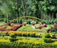 Jardin Jardinier Frais Rose Gardens Munnar 2020 Ce Qu Il Faut Savoir Pour Votre