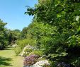 Jardin Jardinier Luxe Jardin Shamrock Varengeville Sur Mer 2020 All You Need