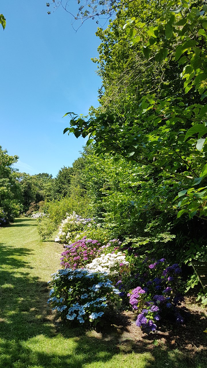 un tres beau jardin merveilleu
