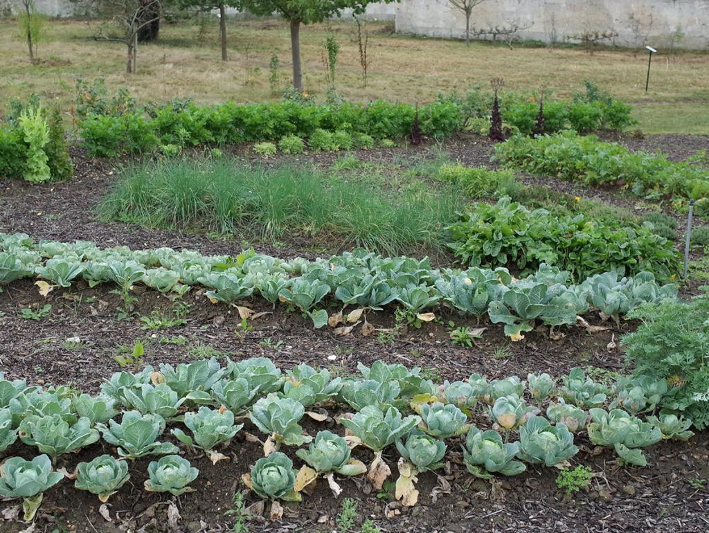 Jardin Jardinier Luxe Le Potager Bioinspiré Un Jardin Nourricier En Permaculture