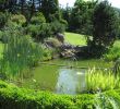 Jardin Jardinier Nouveau Bassin Jardinage — Wikipédia