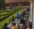 Jardin Jardinier Unique Quoi De Neuf sous Le Palmier Des Jacobins 2019 Jacobins