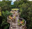Jardin Jungle Frais Maldives