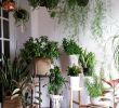 Jardin Jungle Inspirant 24 Ideas How to Create Your Own Indoors Jungle