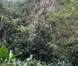 Jardin Jungle Inspirant Palenque De Los Cimarrones Vinales 2020 All You Need to