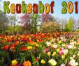 Jardin Keukenhof Best Of Keukenhof 2019 Full Hd Keukenhof is the Garden Of Europe