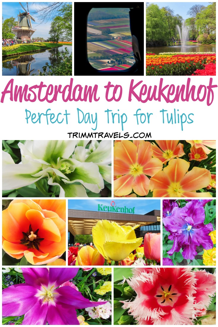 Amsterdam to Keukenhof Day Trip Title