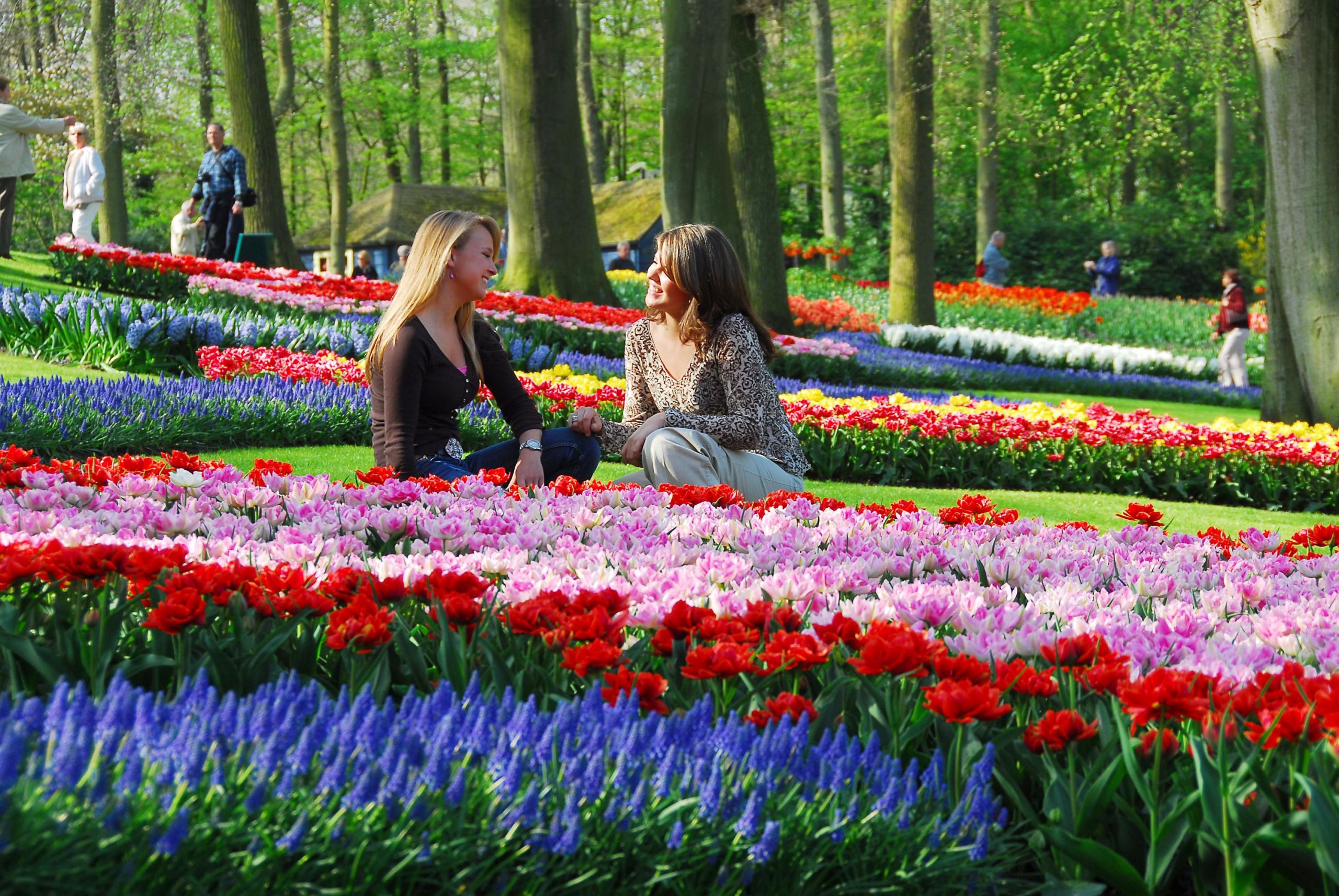 Jardin Keukenhof Élégant Keukenhof