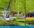 Jardin Keukenhof Élégant Keukenhof Lisse Netherlands Apr 28th 2019 Famous