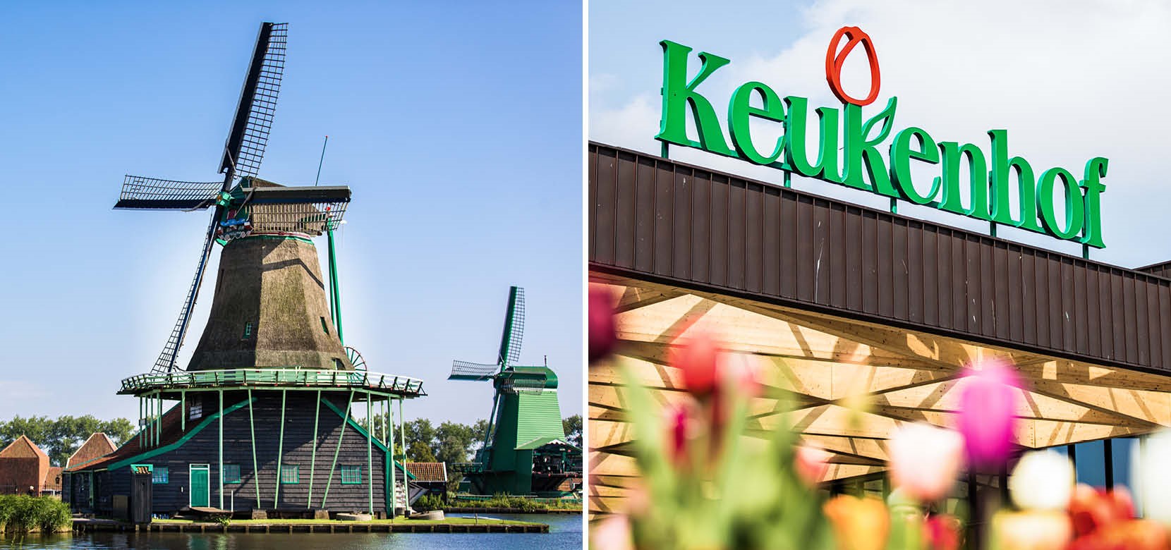Jardin Keukenhof Frais Keukenhof Gardens Windmills & Countryside Free 1hr Canal