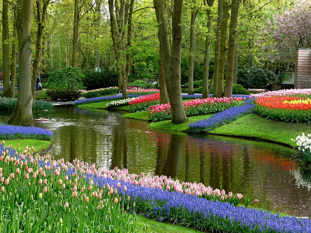 Jardin Keukenhof Génial Keukenhof Lisse