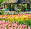 Jardin Keukenhof Génial Keukenhof Lisse Netherlands Apr 28th 2019 Amazing