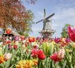 Jardin Keukenhof Génial Keukenhof Madurodam tour